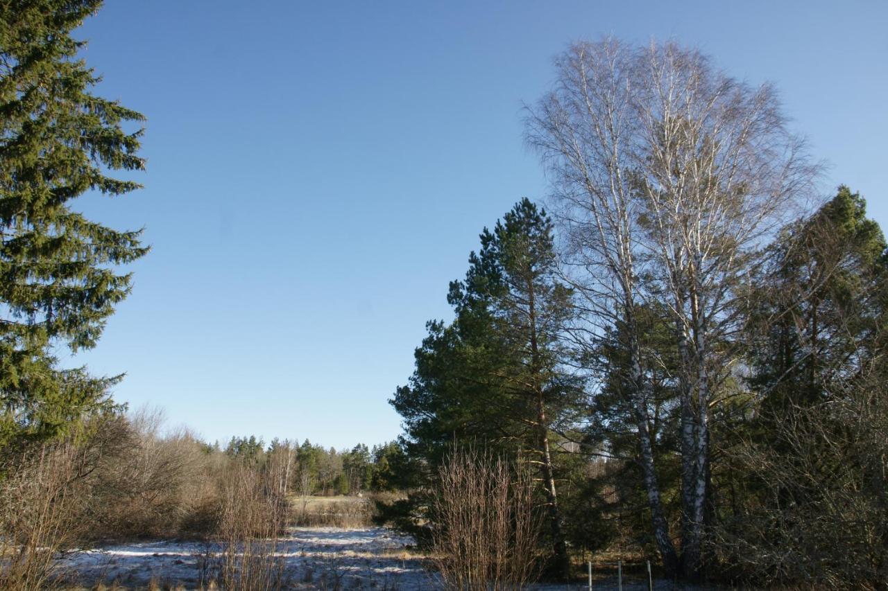 Bjoerkholm - Villa In Malilla Exterior photo
